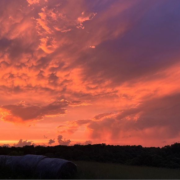 Meet your Posher, Trisha - Picture 9 of 15